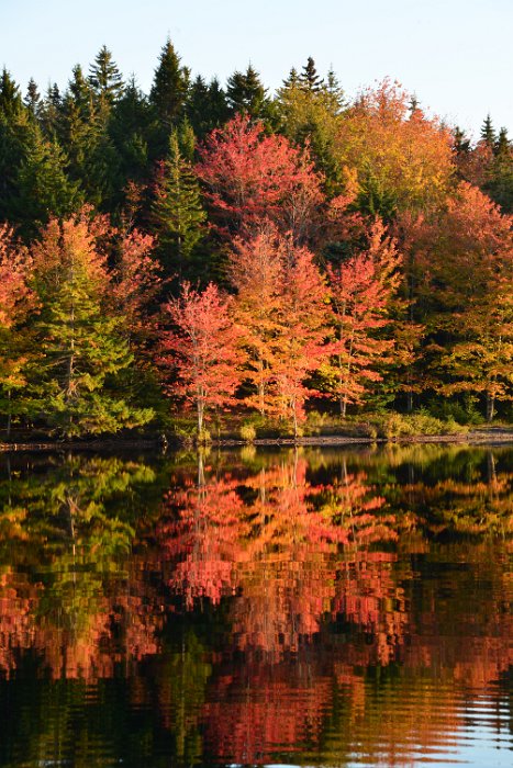 BesichtigungHerbst 15 (60)